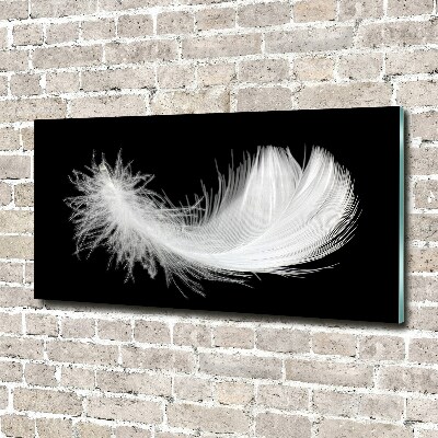 Acrylic wall art Feather