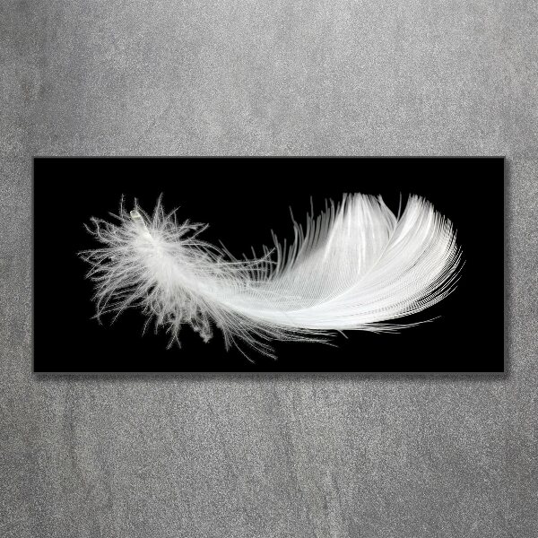 Acrylic wall art Feather