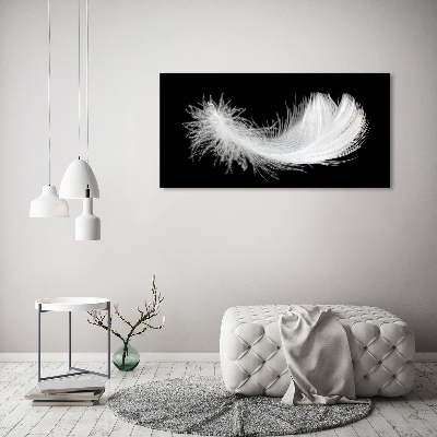 Acrylic wall art Feather