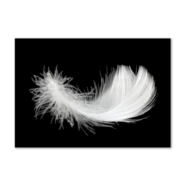 Acrylic wall art Feather