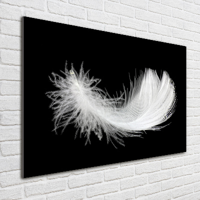 Acrylic wall art Feather