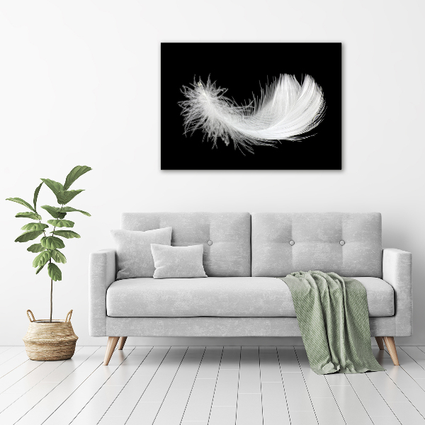 Acrylic wall art Feather