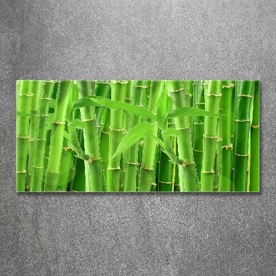 Acrylic wall art Bamboo