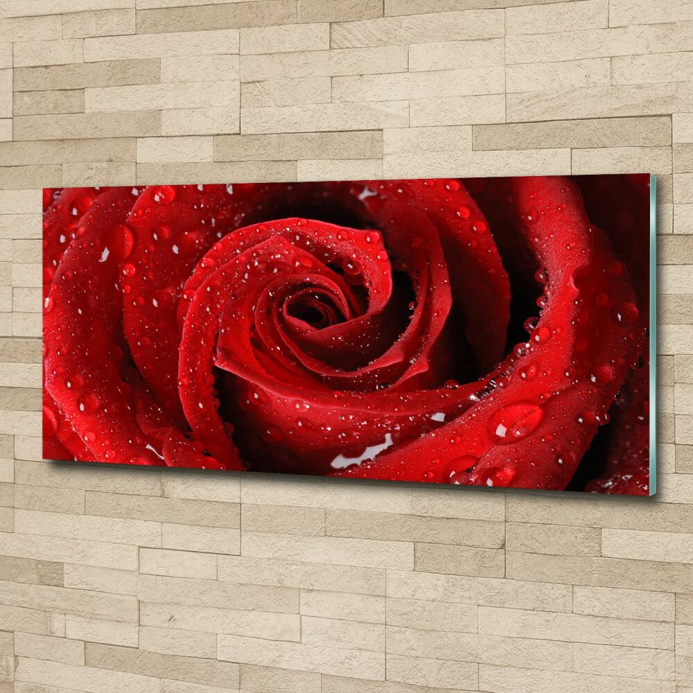 Print on acrylic Rose drops