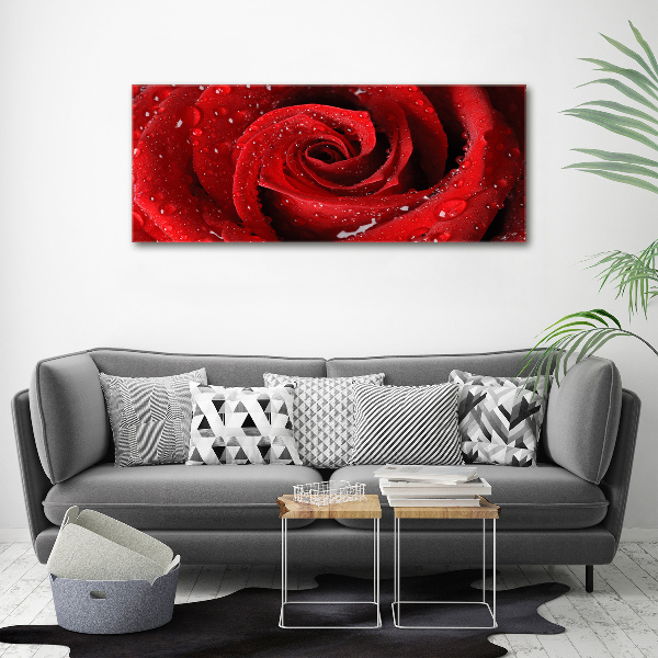 Print on acrylic Rose drops