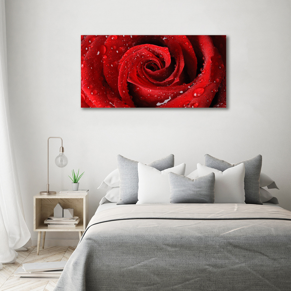 Print on acrylic Rose drops