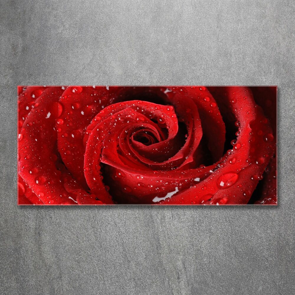 Print on acrylic Rose drops