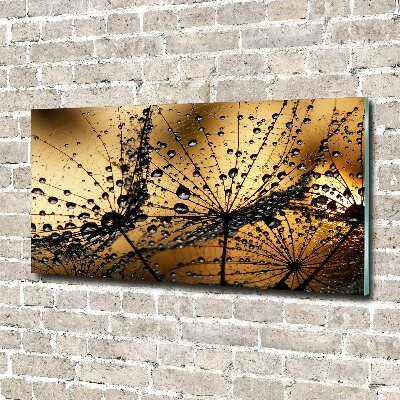 Print on acrylic Dandelion seeds