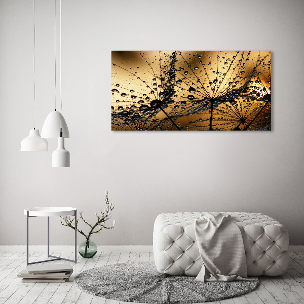 Print on acrylic Dandelion seeds