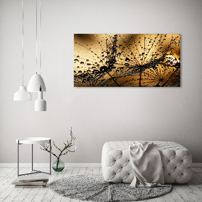 Print on acrylic Dandelion seeds