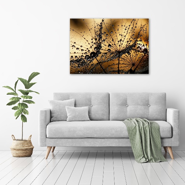 Print on acrylic Dandelion seeds