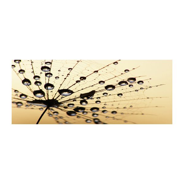 Print on acrylic Dandelion seed