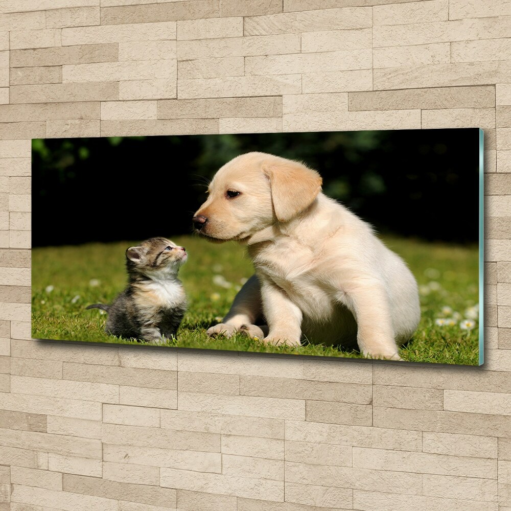 Print on acrylic A dog and a cat in the meadow