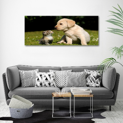 Print on acrylic A dog and a cat in the meadow