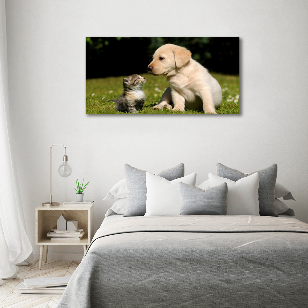 Print on acrylic A dog and a cat in the meadow