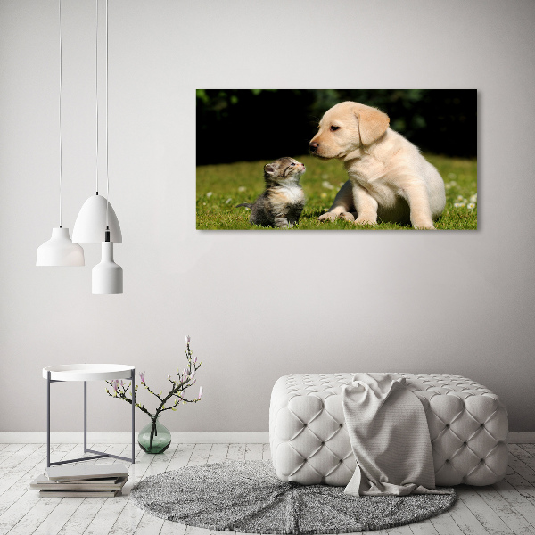 Print on acrylic A dog and a cat in the meadow