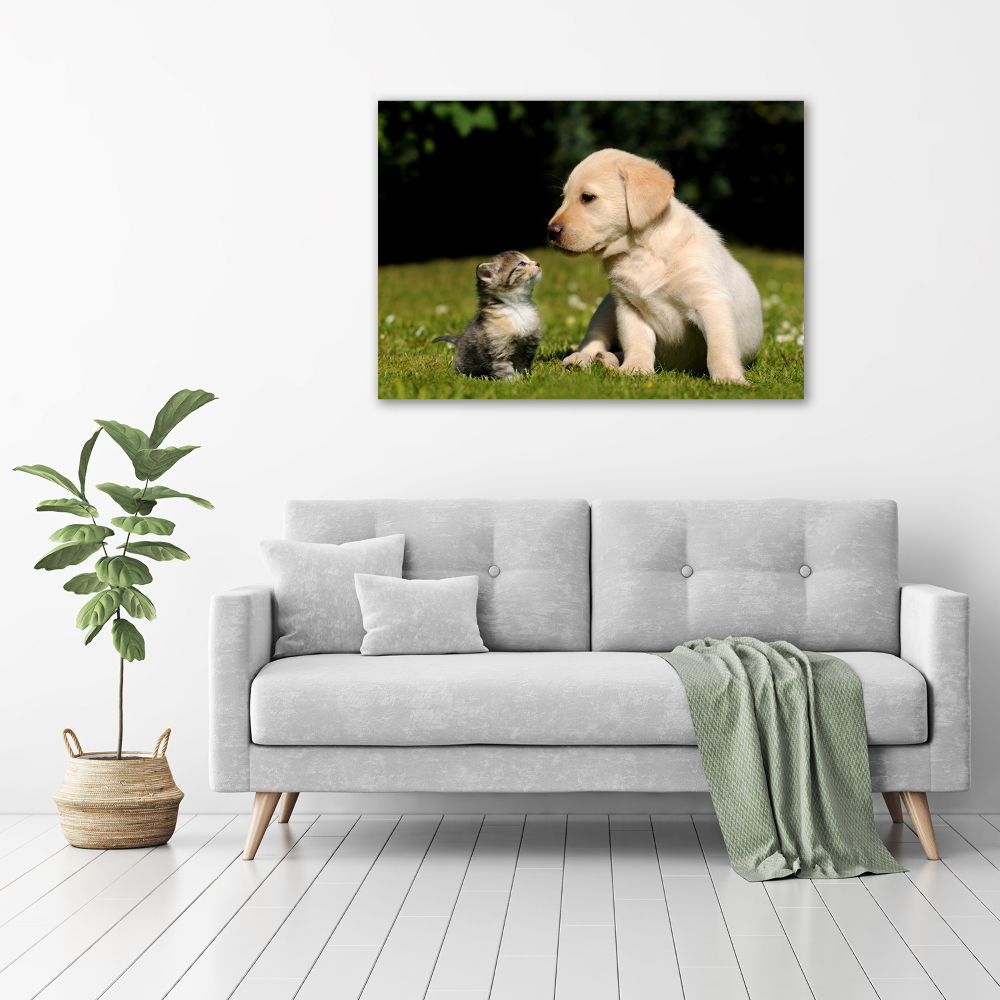 Print on acrylic A dog and a cat in the meadow