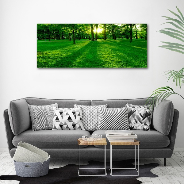 Print on acrylic Grass in the park