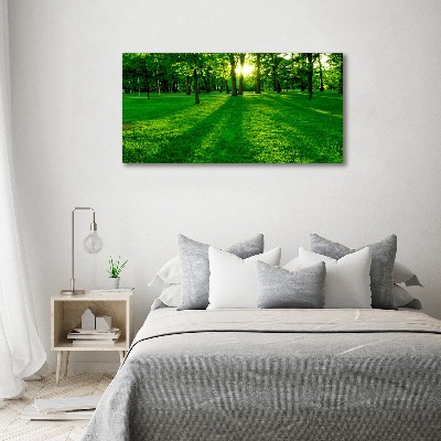 Print on acrylic Grass in the park