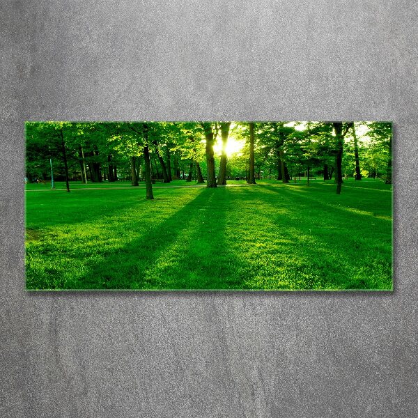 Print on acrylic Grass in the park