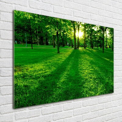 Print on acrylic Grass in the park