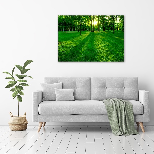 Print on acrylic Grass in the park