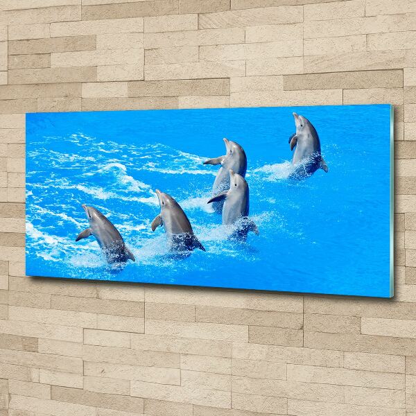 Print on acrylic Dolphins