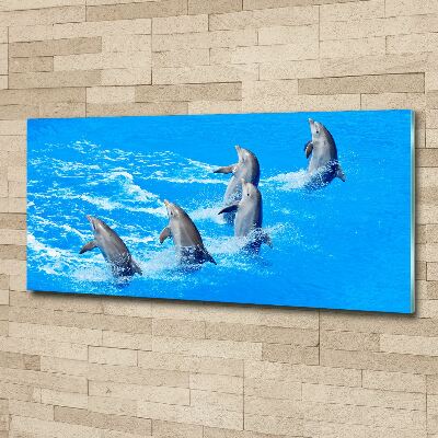 Print on acrylic Dolphins