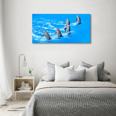 Print on acrylic Dolphins