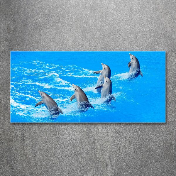 Print on acrylic Dolphins