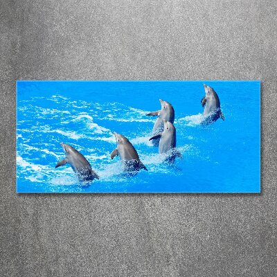 Print on acrylic Dolphins