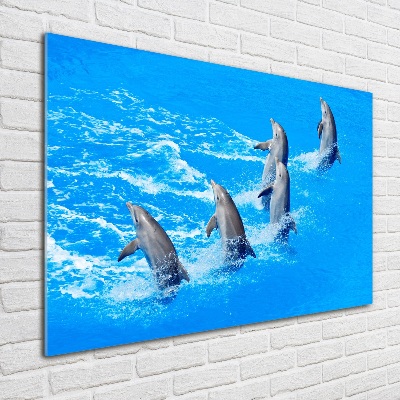 Print on acrylic Dolphins