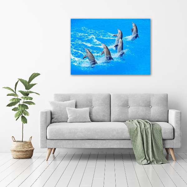 Print on acrylic Dolphins