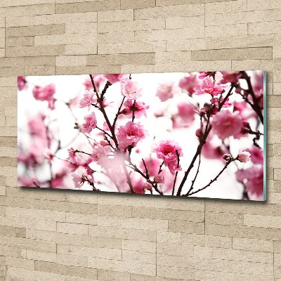 Print on acrylic Plum flower