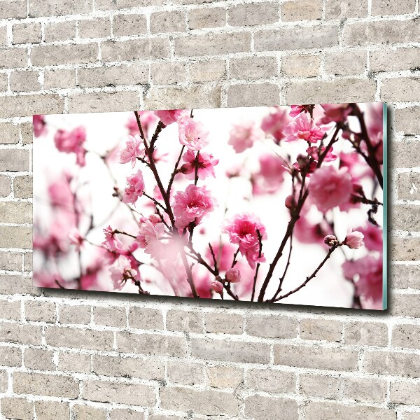 Print on acrylic Plum flower