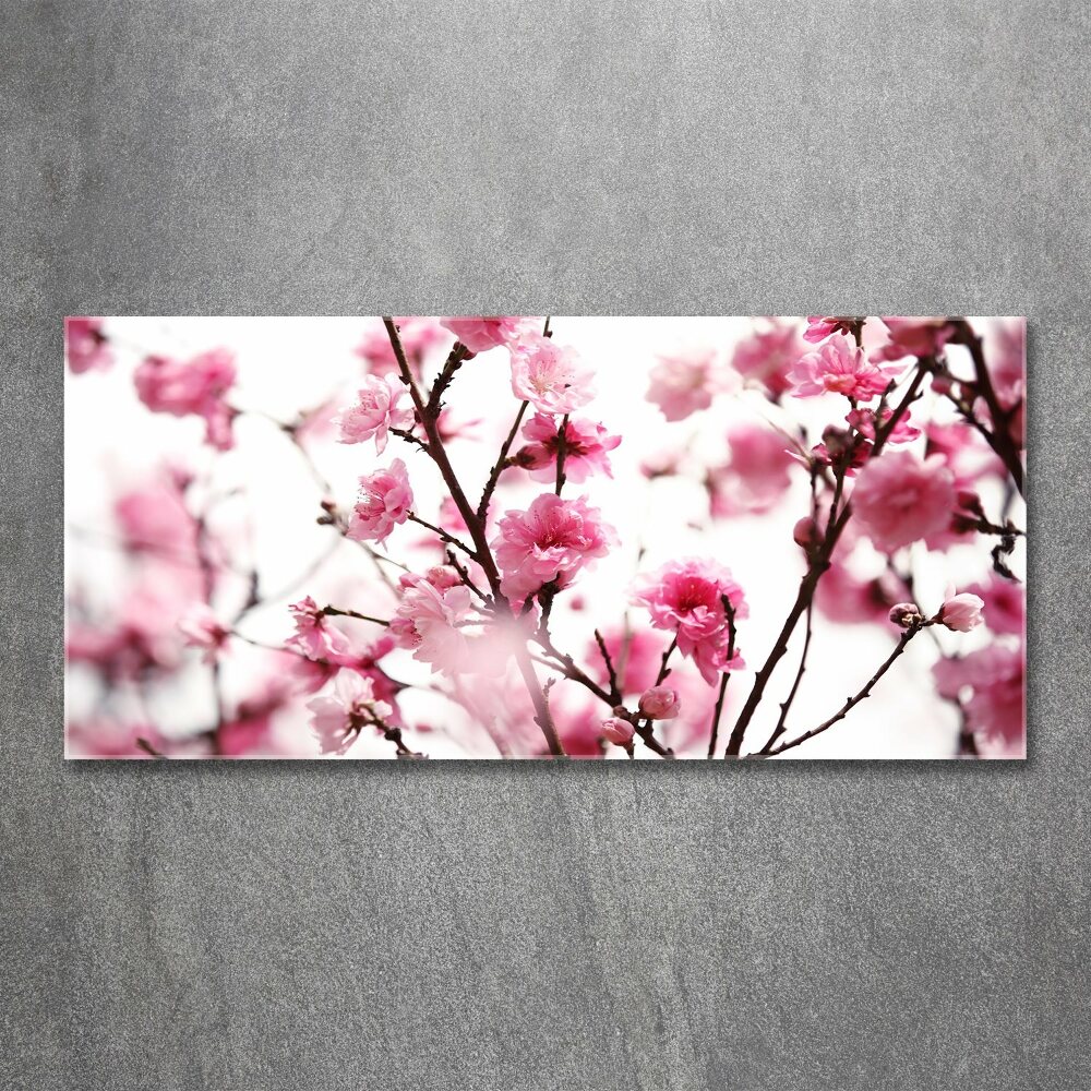 Print on acrylic Plum flower