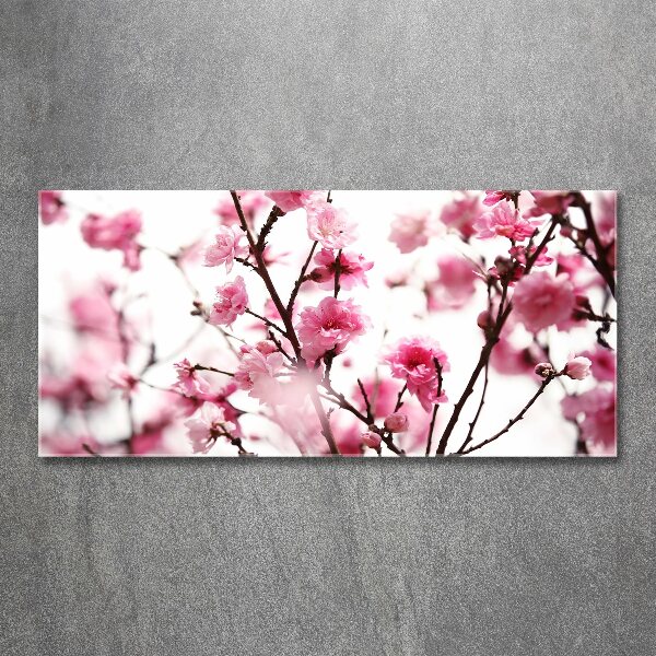 Print on acrylic Plum flower