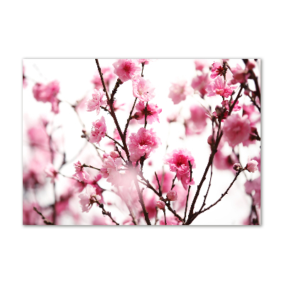 Print on acrylic Plum flower