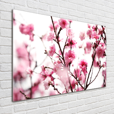 Print on acrylic Plum flower