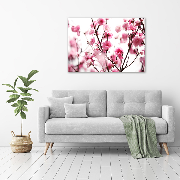 Print on acrylic Plum flower