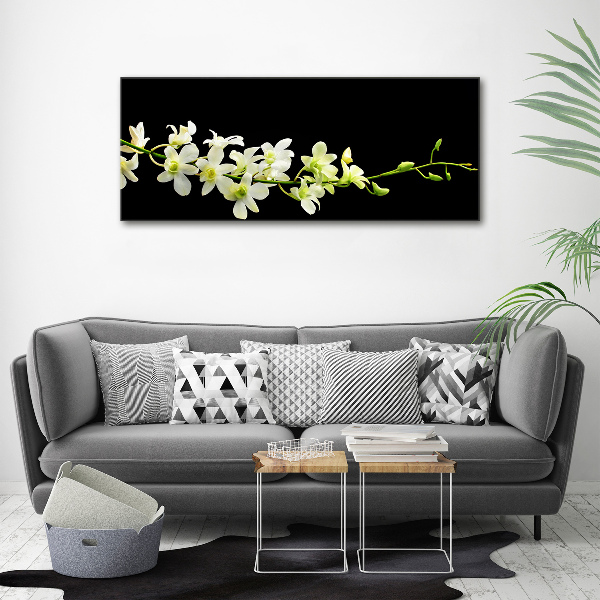 Print on acrylic Orchid