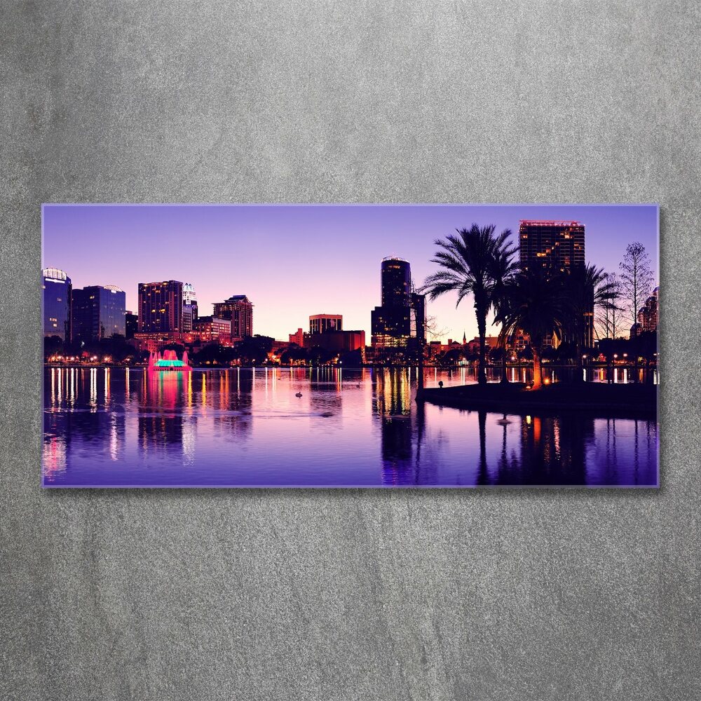 Acrylic wall art Orlando USA