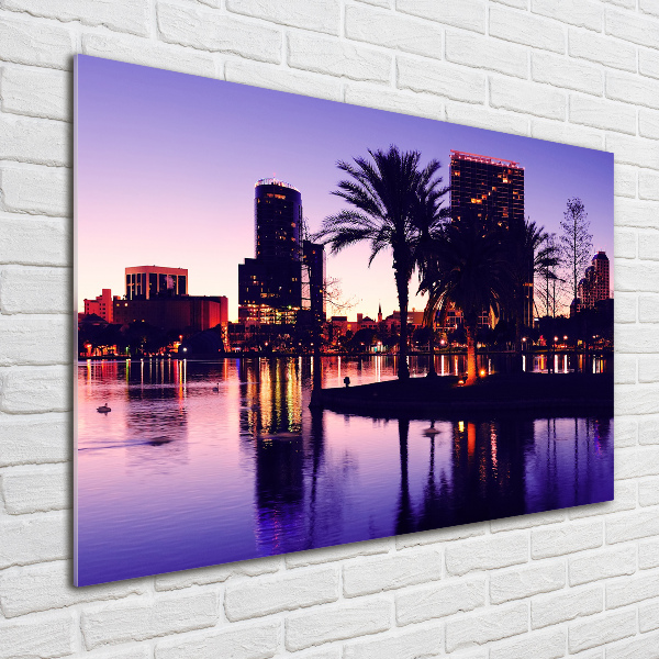 Acrylic wall art Orlando USA