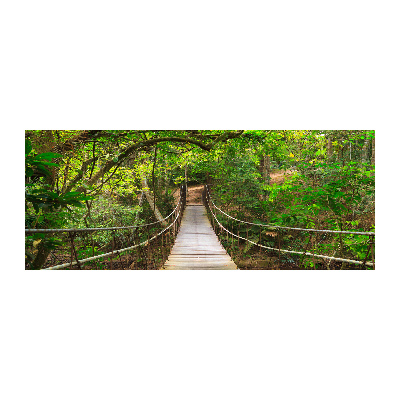 Acrylic wall art Rope bridge