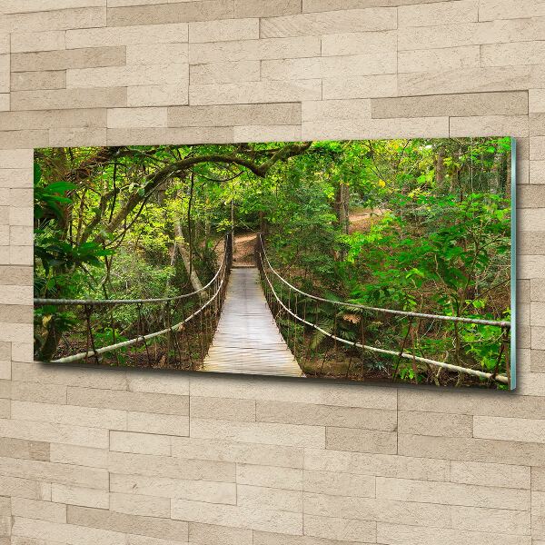 Acrylic wall art Rope bridge