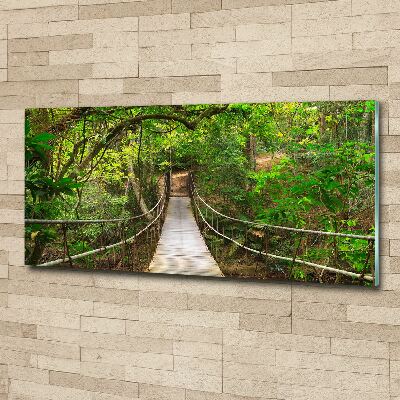 Acrylic wall art Rope bridge