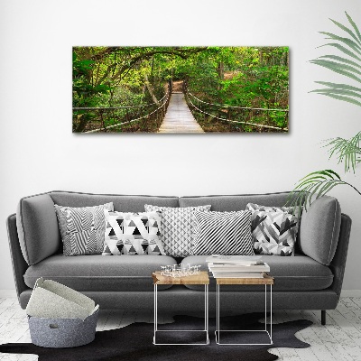 Acrylic wall art Rope bridge