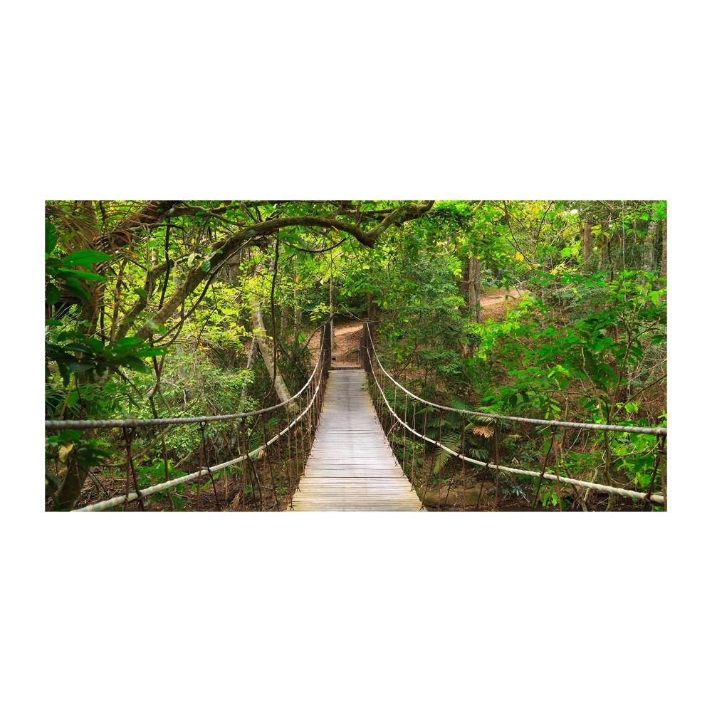 Acrylic wall art Rope bridge