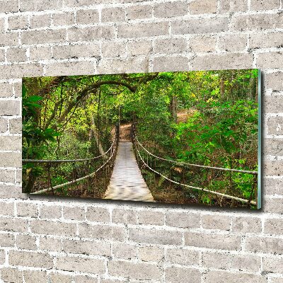 Acrylic wall art Rope bridge