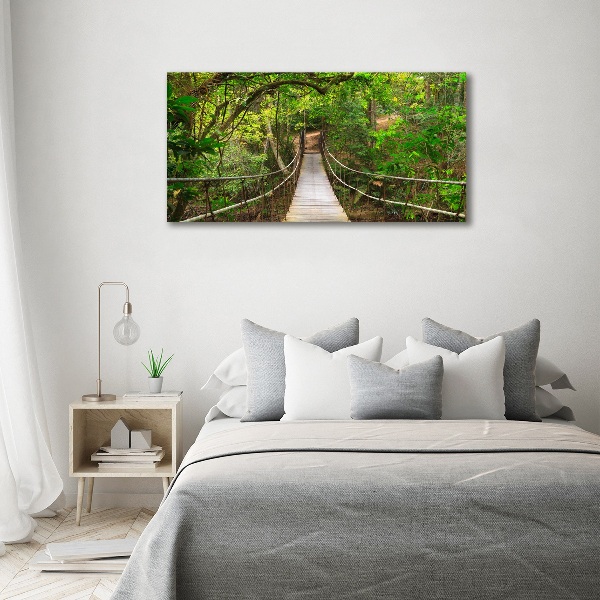 Acrylic wall art Rope bridge